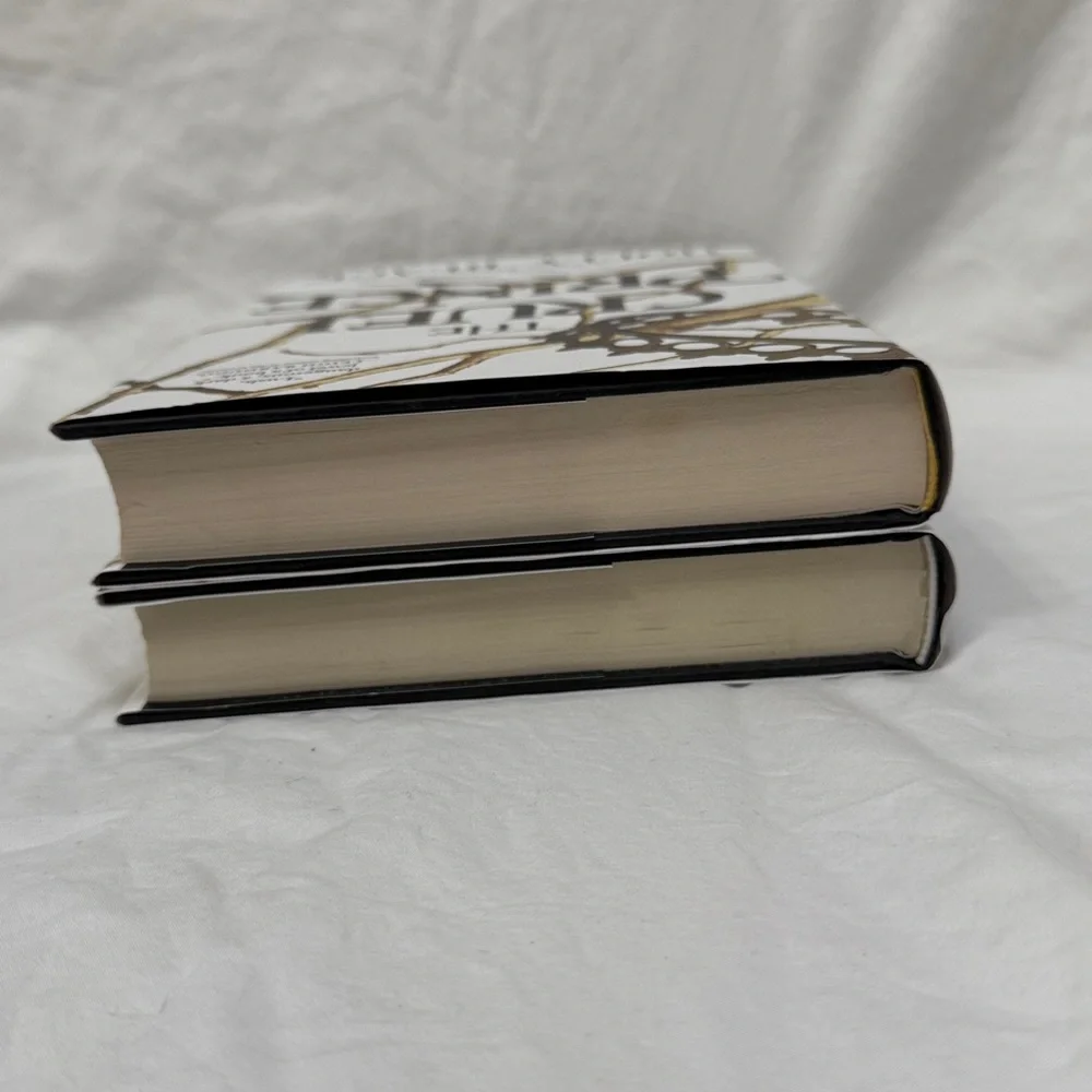“The Cruel Prince” & “The Wicked King” Hardcover Fantasy Book Set by Holly Black - Picture 9 of 16